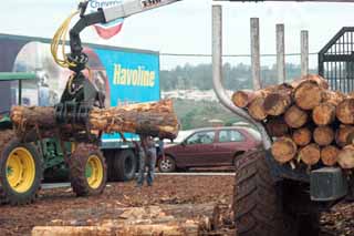 Trabajo. Público especializado y no tanto colmó las instalaciones de la feria para ver el manejo de la madera.