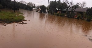 SAN JAVIER 4