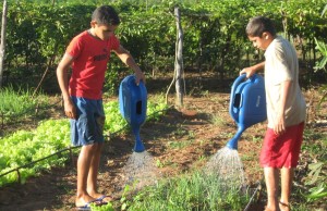 agricultura