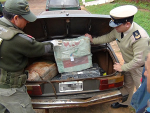 Marihuana Misiones