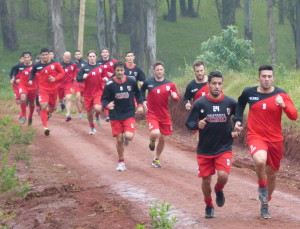 alt guarani pag13