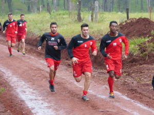 guarani