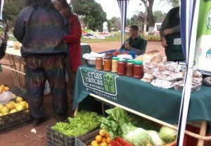 verduras