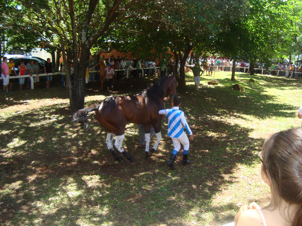 Turf: una multitud disfrutó de los caballos en el Hipódromo; mañana es