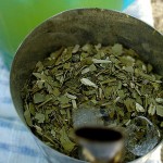 tereré más refrescante