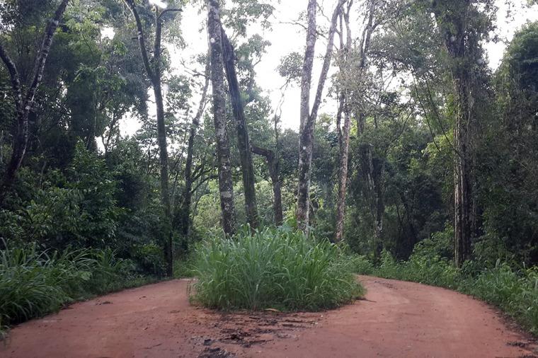 La Selva Iryapú, un espacio donde naturaleza y cultura guaraní cautivan al turista - MisionesOnline