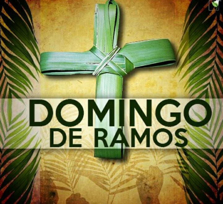 Horarios de misas para conmemorar el Domingo de Ramos en la Diócesis de  Posadas - MisionesOnline