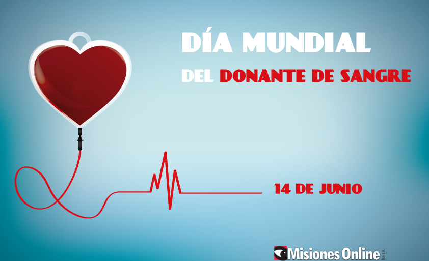Día Mundial del Donante de Sangre: ¿qué se debe tener en cuenta para ser  donante? - MisionesOnline