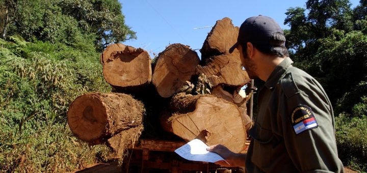 Mesa Forestal Provincial: este jueves la agenda de trabajo incluirá el análisis de competitividad para la foresto-industria que "tiene capacidad inmediata para movilizar la economía y crear empleo”