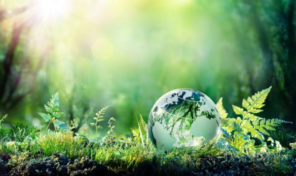 5 de Junio: Encuesta por el Día del medio ambiente 