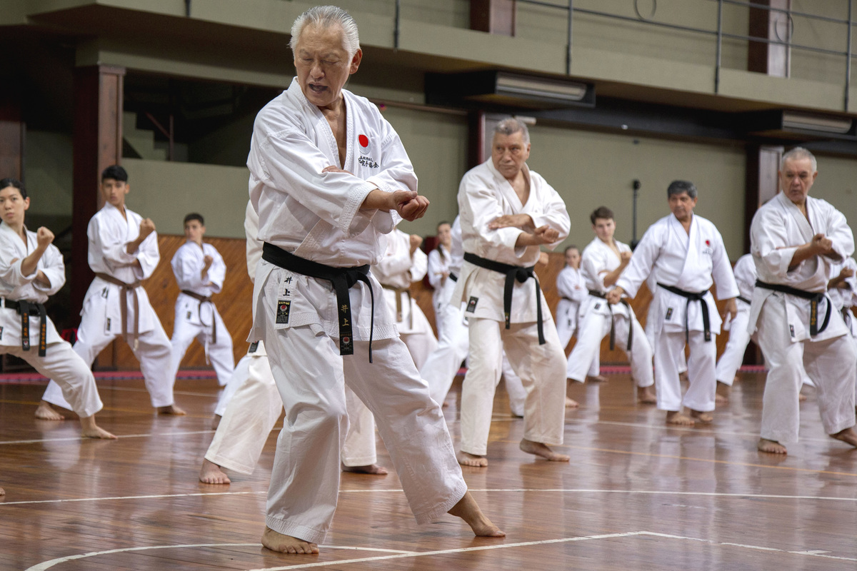 Se realizó en Posadas el Curso Regional de Karate Do Shotokan