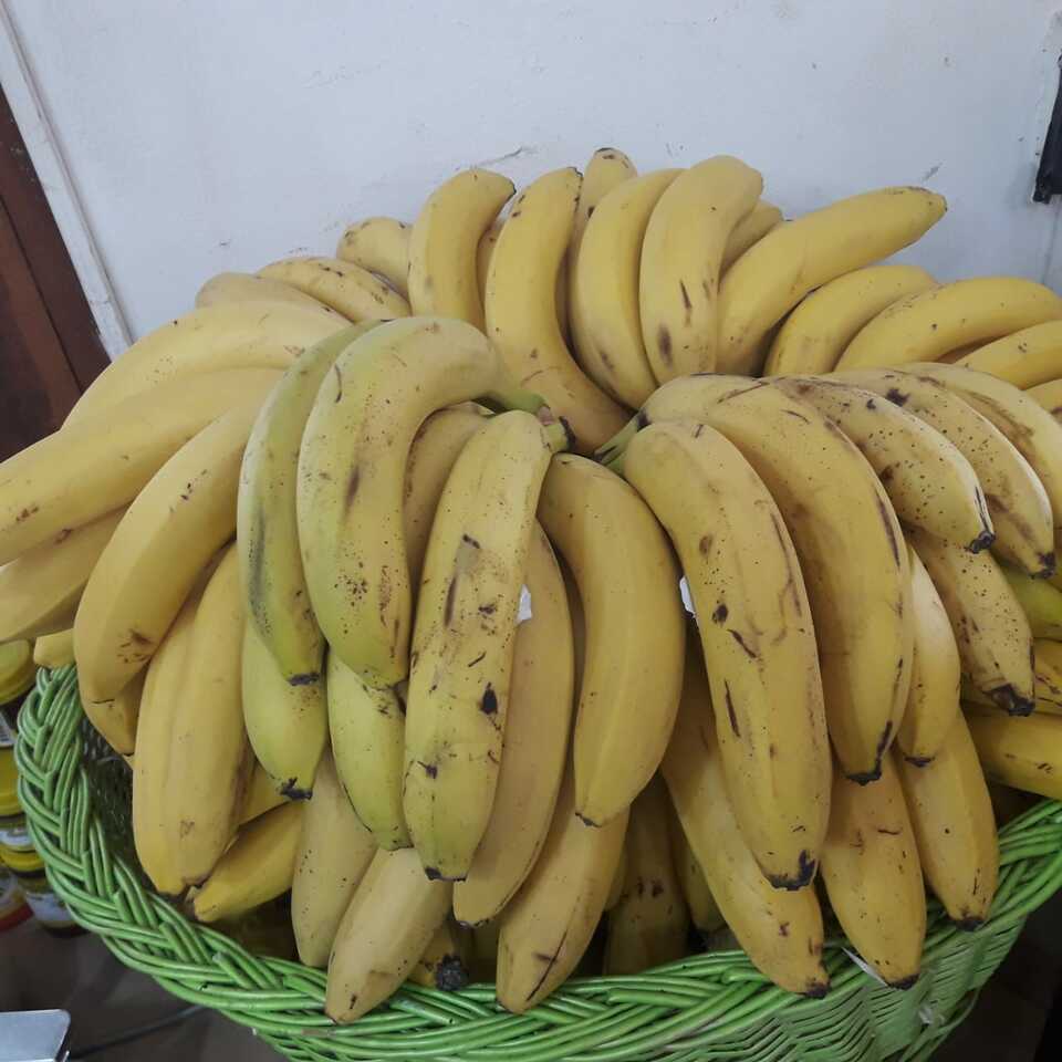 exportación de banana