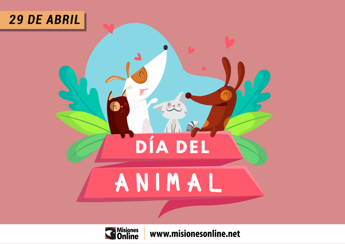 Día del Animal: ¿cómo cuidar a las mascotas durante la cuarentena