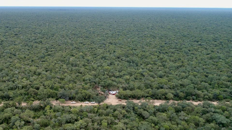 Chaco la Federaci n de Productores e Industriales Forestales