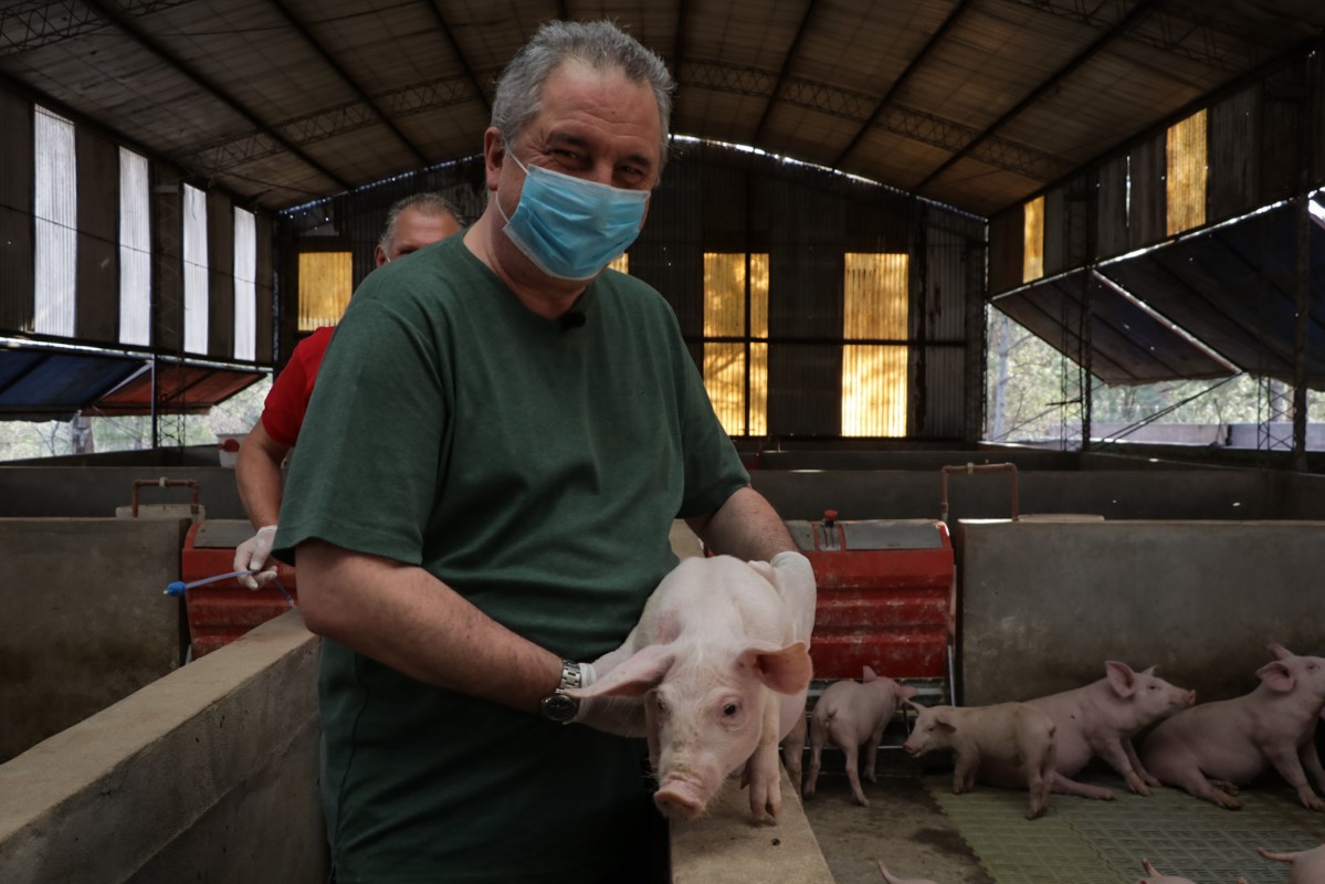 Hugo Passalacqua visitó el criadero de cerdos de Jorge Brignole y destacó “la posibilidad de los misioneros de comer cosas hechas por los misioneros" - MisionesOnline