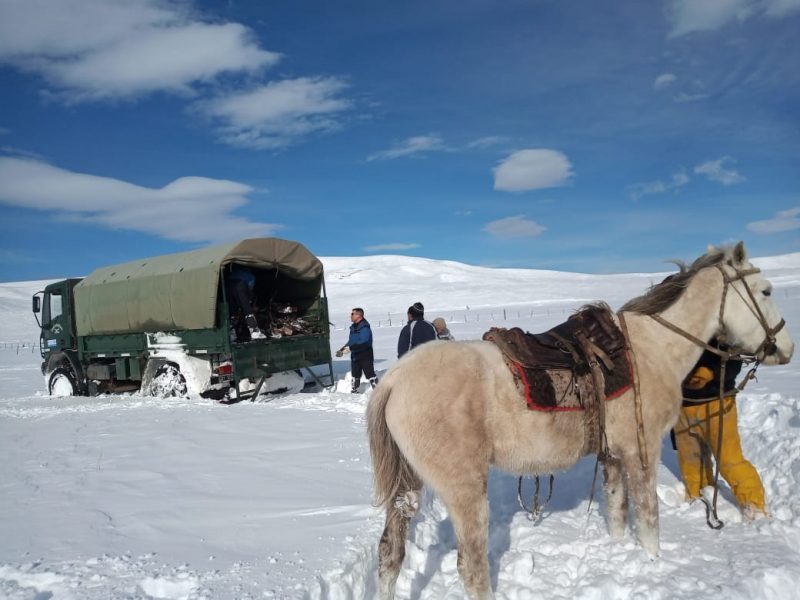 La Patagonia argentina con nevadas históricas y desesperado reclamo de ayuda desde zonas rurales aisladas, sin luz, agua y escazes de alimentos