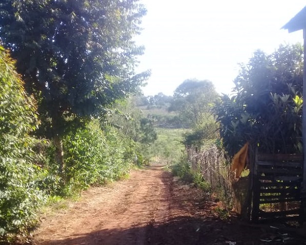 asesinato “A Fernando lo mataron sin motivo”, manifestó la tía del adolescente que asesinaron de una puñalada al corazón en San Vicente