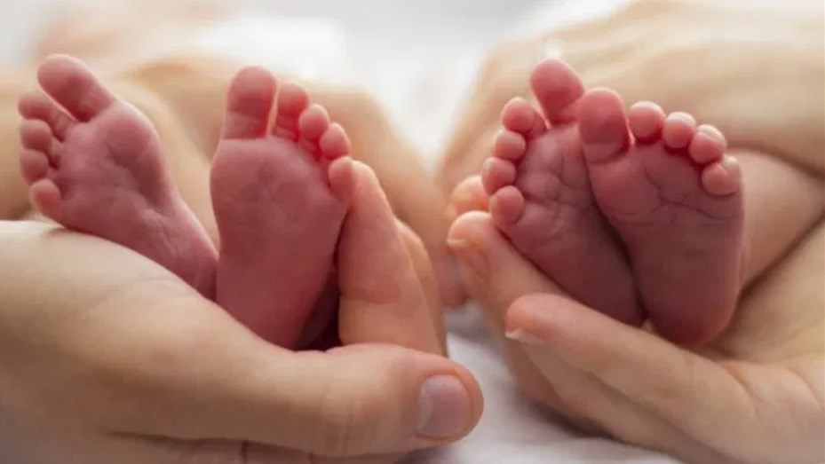 ley de abordaje integral en proceso de duelo perinatal gestacional y neonatal 
