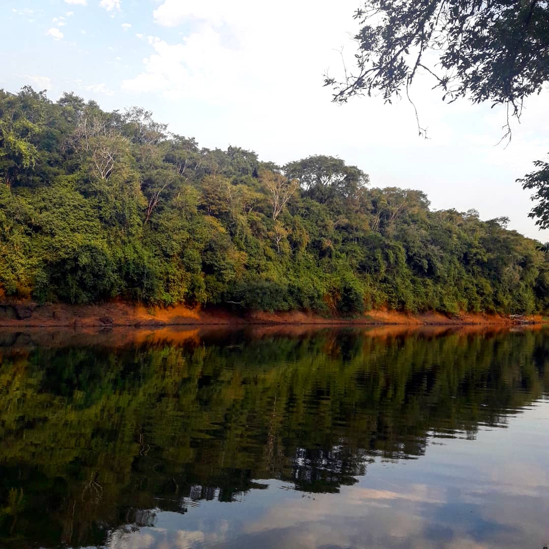 Turismo interno: sin desayuno buffet y bajo el sistema de turnos, así sería la prueba piloto de los hoteles en Misiones