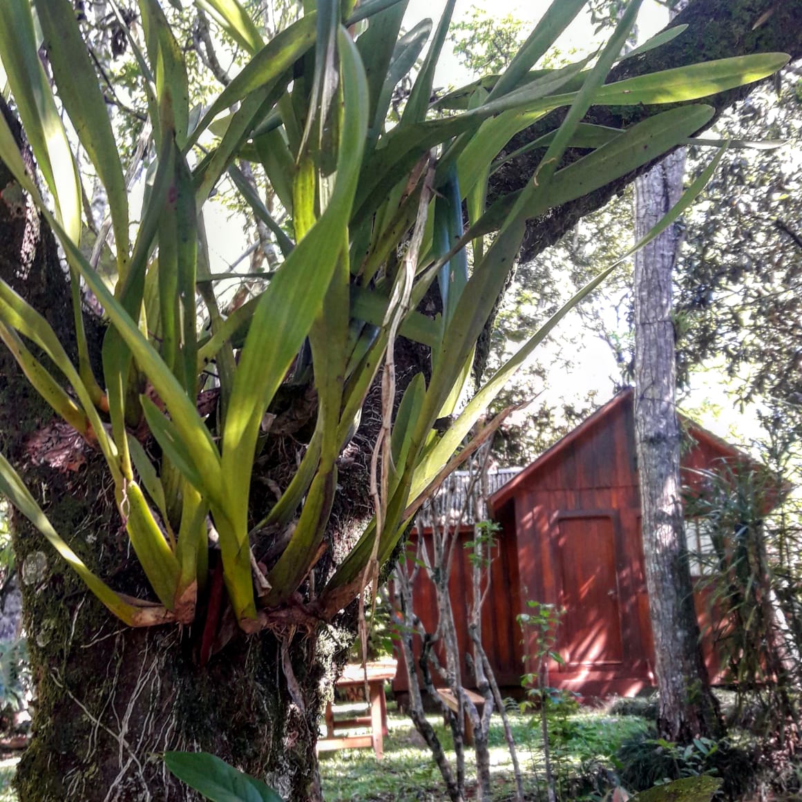 Turismo interno: sin desayuno buffet y bajo el sistema de turnos, así sería la prueba piloto de los hoteles en Misiones