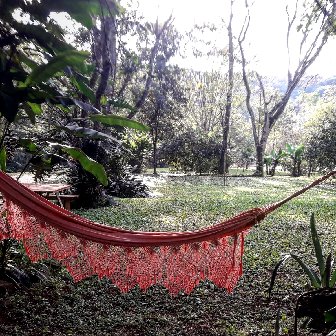 Turismo interno: sin desayuno buffet y bajo el sistema de turnos, así sería la prueba piloto de los hoteles en Misiones