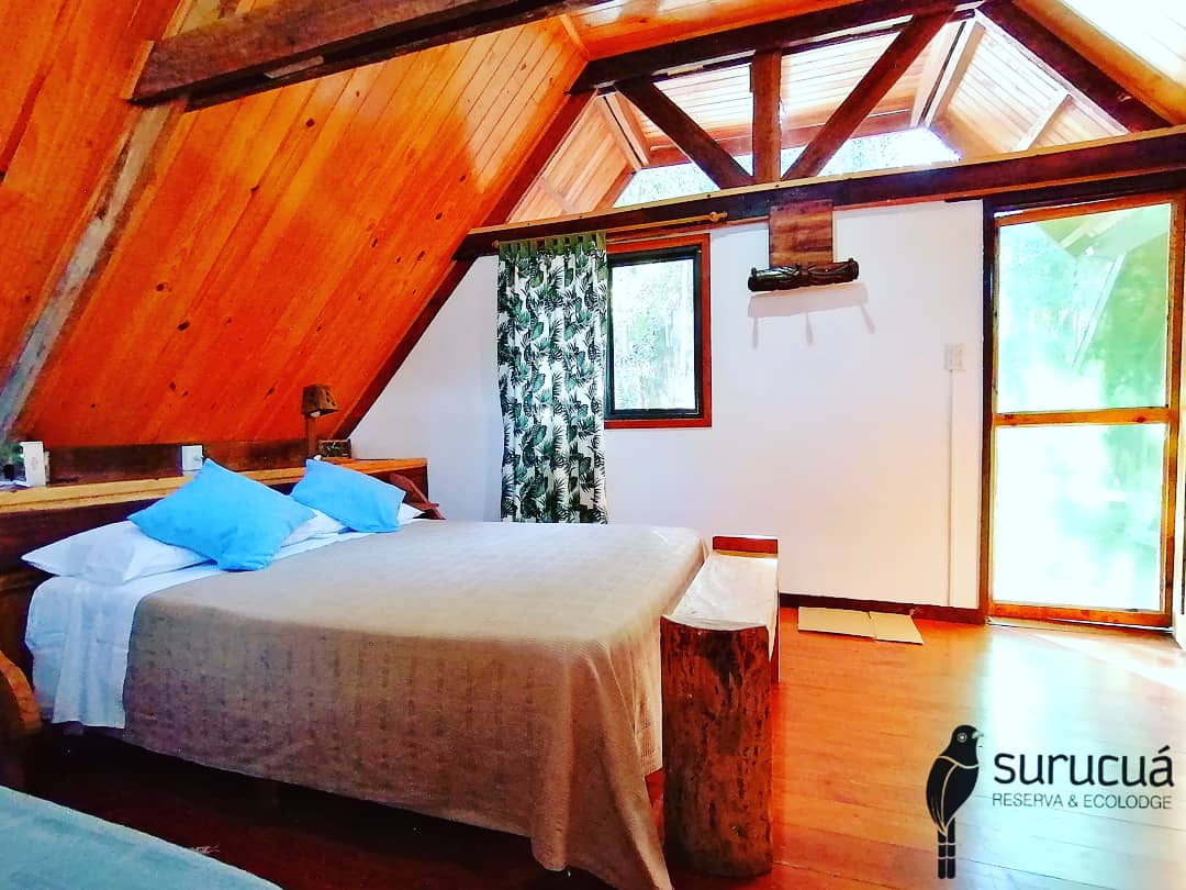 Turismo interno: sin desayuno buffet y bajo el sistema de turnos, así sería la prueba piloto de los hoteles en Misiones