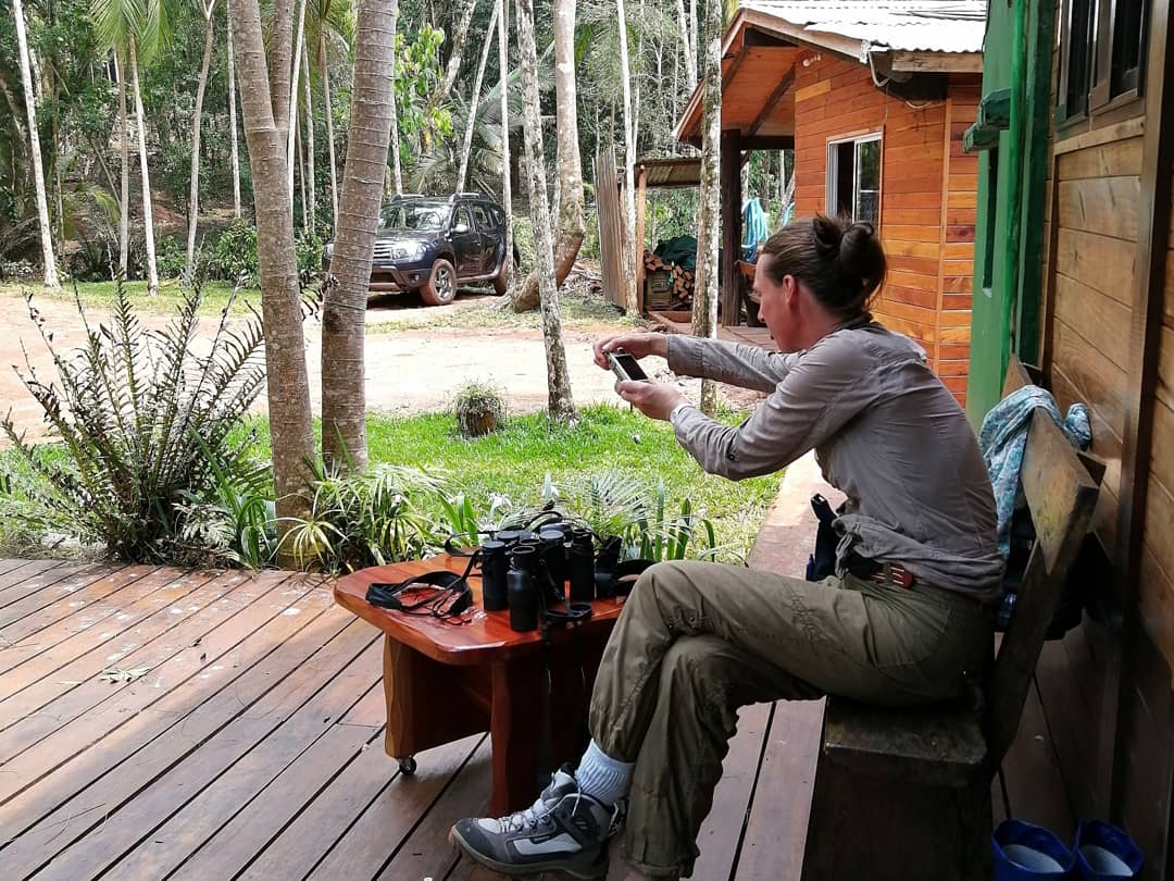 Turismo interno: sin desayuno buffet y bajo el sistema de turnos, así sería la prueba piloto de los hoteles en Misiones