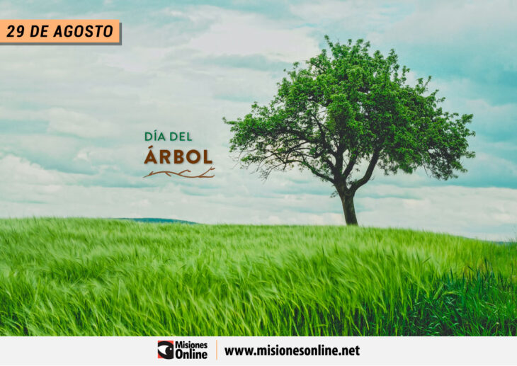 Día del Árbol: ¿por qué se celebra el 29 de agosto en Argentina?