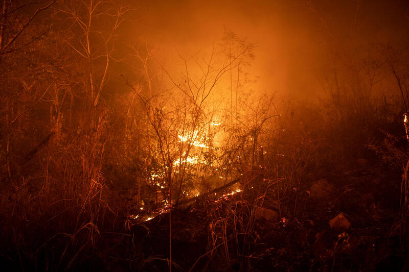 El humedal más grande del mundo está en llamas en Brasil, pero por la sequía extrema el fuego a menudo es invisible bajo tierra