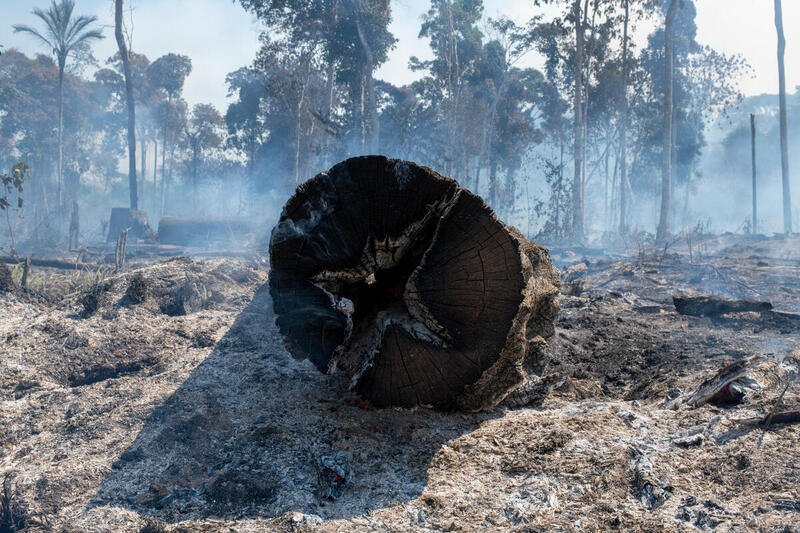 El humedal más grande del mundo está en llamas en Brasil, pero por la sequía extrema el fuego a menudo es invisible bajo tierra
