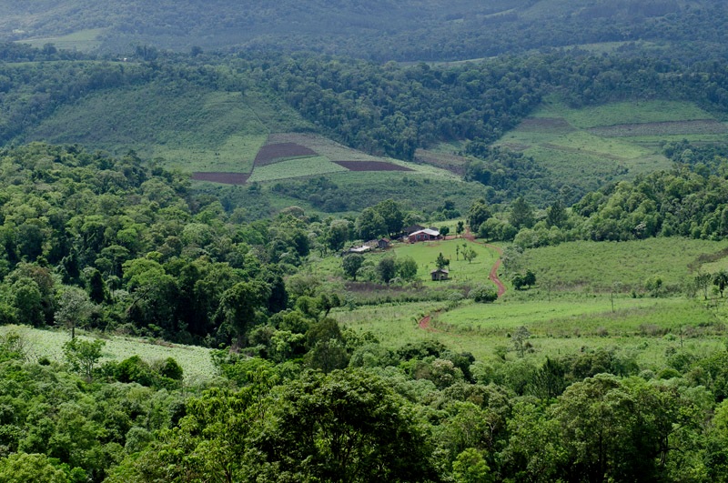 Conflicto de tierras en Colonia Pepirí: “El desalojo del Lote 8 no afectó a las familias históricas, sino a tres personas que usurparon terrenos recuperados de la familia Harriet”