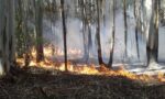 Incendios en Corrientes| Se abrieron más de 70 causas por inicios de fuego intencionales en zonas rurales
