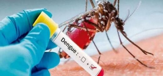 dengue