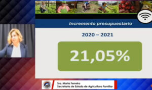 Presupuesto 2021: mercados soberanos, nodos de envasados e inclusión digital, los desafíos de Marta Ferreira en Agricultura Familiar