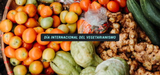 Día Internacional del Vegetarianismo