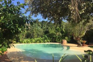 Volver a Cataratas: promociones con excelentes descuentos en hoteles sustentables de Puerto Iguazú