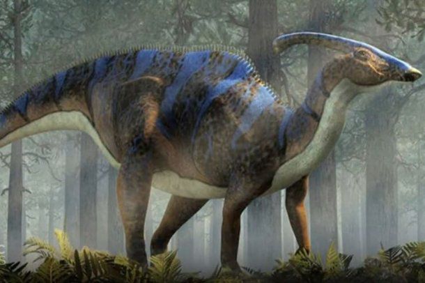 salió de excursión y descubrió un dinosaurio de 69 millones de años