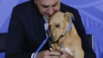 Bolsonaro le hizo firmar a un perro