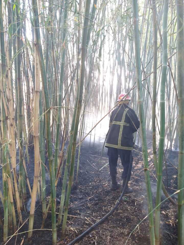 05897880-33fa-4fa1-b6e6-6eaa9bad9b13 Video: incendio de malezas rodeó el cementerio privado El Portal en Garupá