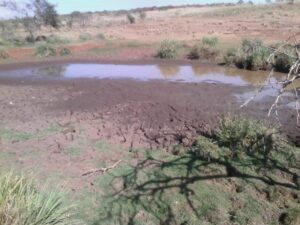 sequía en Misiones