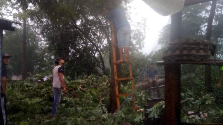 Fuerte tormenta provocó caída de árboles y voladura de techos en Campo Viera y Oberá