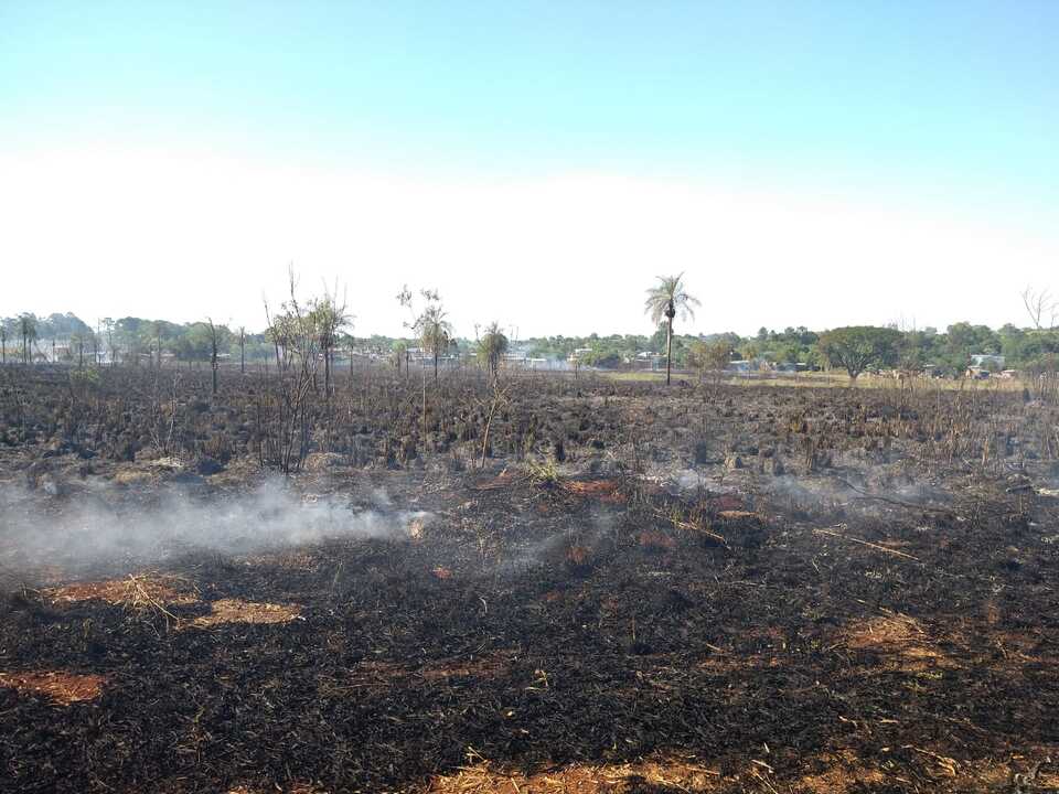 3a3cf206-0f4b-4f40-8ba8-a8eed20cf2de Video: incendio de malezas rodeó el cementerio privado El Portal en Garupá