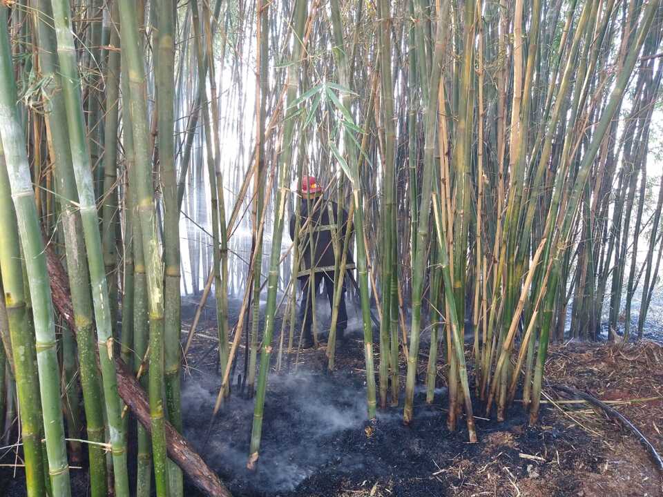 6f8ea7dd-2950-47a1-8f55-d66d6cacccbf Video: incendio de malezas rodeó el cementerio privado El Portal en Garupá