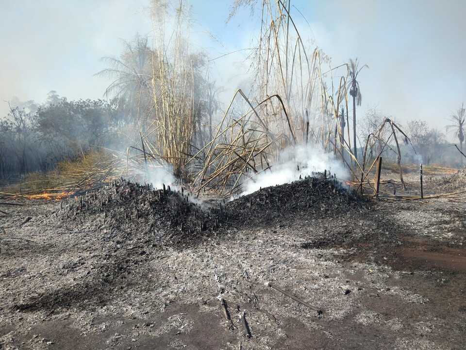 92513a53-e03b-4daa-b7c6-f5fa5e4dd965 Video: incendio de malezas rodeó el cementerio privado El Portal en Garupá