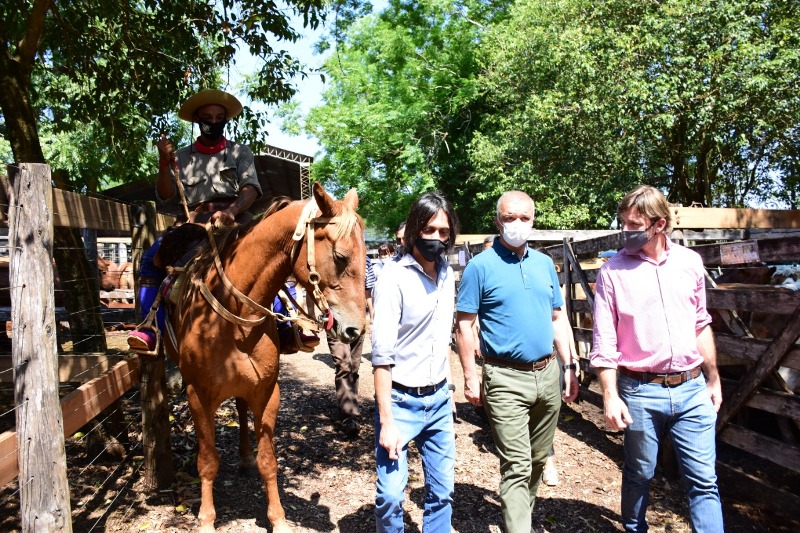 R&eacute;cord de animales en el tercer remate ganadero de Misiones