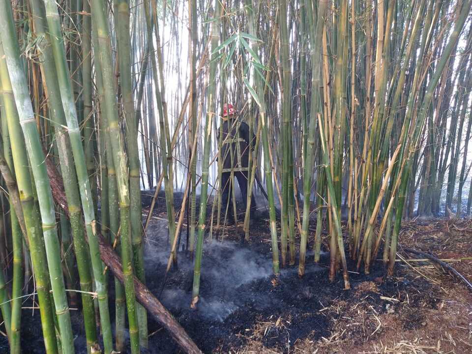 dc04aed6-b207-47cb-8014-fcc859cf38a0 Video: incendio de malezas rodeó el cementerio privado El Portal en Garupá