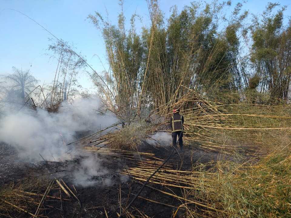 e1fcc294-e03a-4c18-9cf5-7af50853b36e Video: incendio de malezas rodeó el cementerio privado El Portal en Garupá