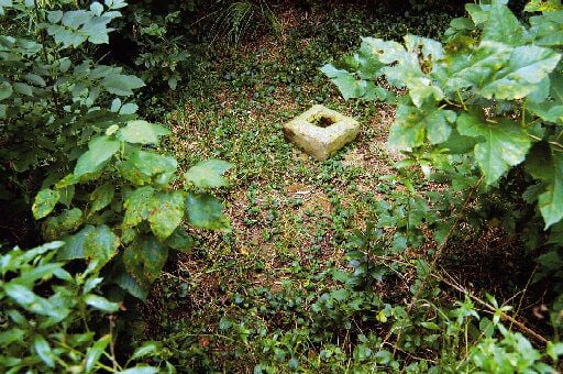El pozo ciego donde apareció el “pituto”. Foto: Archivo Atlántida.