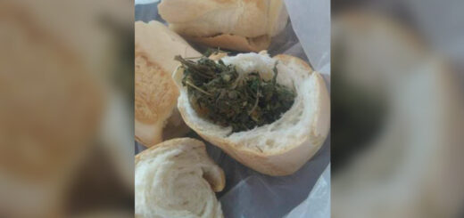 sandwich de marihuana