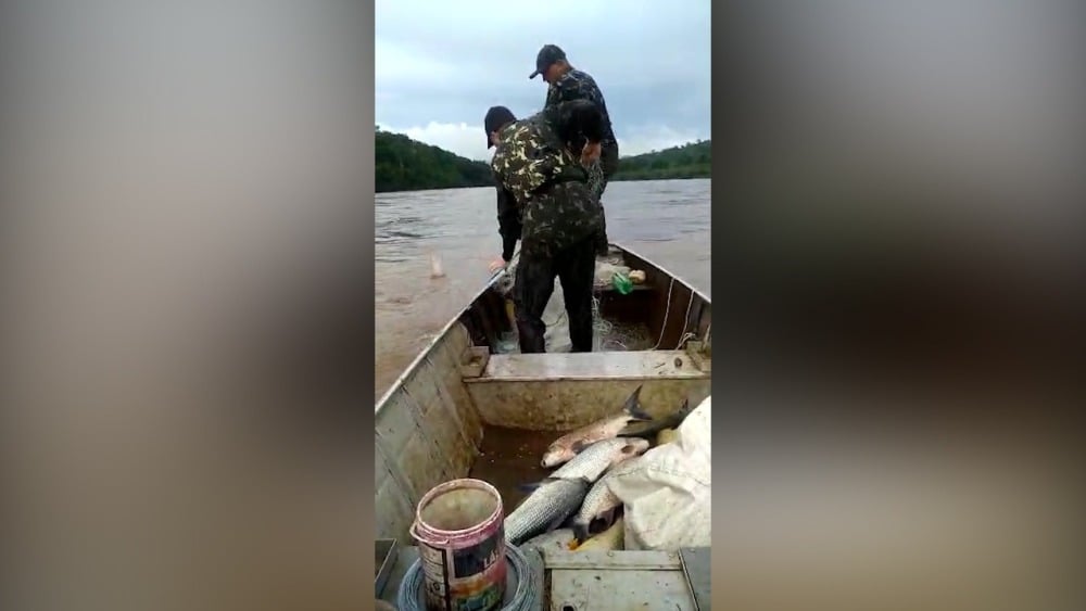 Camuflados sob falsos uniformes oficiais, caçadores brasileiros perseguiam o rio Uruguai em uma área próxima às Cataratas do Moconá